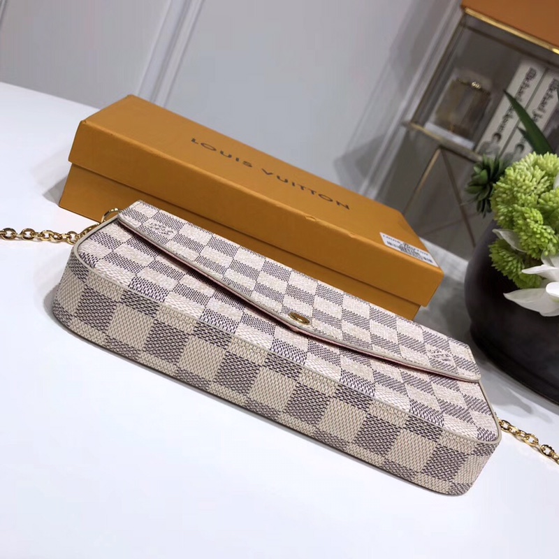 LV Purse